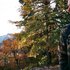 Avatar for Rangefinder