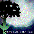 Avatar for Silver light of the moon