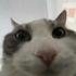 Avatar for saphirexx19