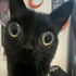 Avatar de kuba_3247