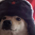 Avatar for DuhRussian