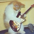 Sailorcat3 さんのアバター