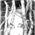 Avatar for Piersista