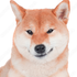 Avatar for theresureishope