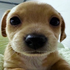 Avatar for plvtoo