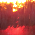 Avatar for Arsonist_333