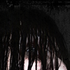 Avatar for Dikonyashka
