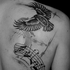 Avatar de roberto3475