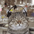 Avatar for AstroBread