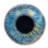 Avatar for bbugagashenka