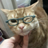 Avatar de snoopyoo