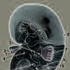 mutantorgans için avatar