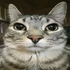 Avatar for Marijn_Floydian