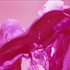 Avatar for nerup16g