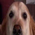 Avatar for zych31