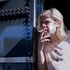 Avatar for Ariel Pink