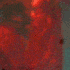 Avatar di destructiv