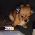 ellynyy 的头像
