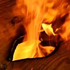 Avatar for monkey8oy