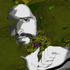Avatar for markfrechette
