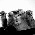 Avatar for MilkyMilks