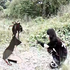 Avatar di twicefanpage