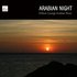 Awatar dla Arabic Music Arabian Nights Collective
