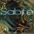 Аватар для DJ Sabife