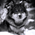 Avatar de JeremyTM96