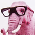 Avatar for random_gs