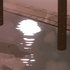Avatar for usr_notfound