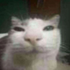 Avatar for oBy0_II