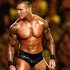 Randy Orton 的头像
