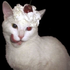 NotmeYuri için avatar