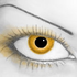 Avatar für Sebamedi