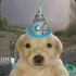 Avatar for shinub700