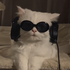 Avatar for ultr444