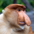 Avatar for tadpolesoda