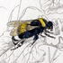 Avatar for bee-tea