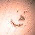 Avatar di Cantrick