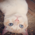 Lovely_Rocio için avatar