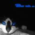 Avatar für IT_FOBOS