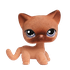 Avatar di woongkiP
