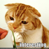 azilikescats için avatar