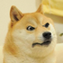 Infuriation için avatar