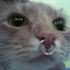 Avatar for heloisangueira