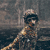 Avatar for luanamarttins2