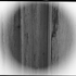 KnoxiBoxi için avatar