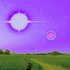 Avatar for Elevenabc
