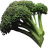 Avatar för brocco_lee